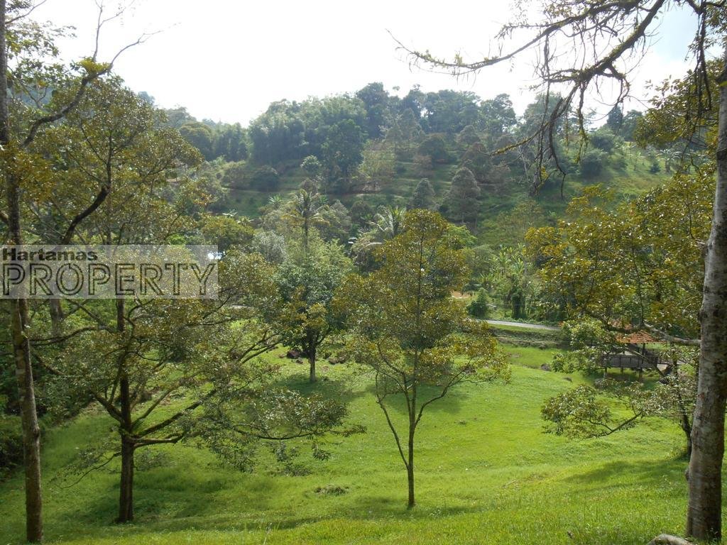 4.5 acres @ Janda Baik