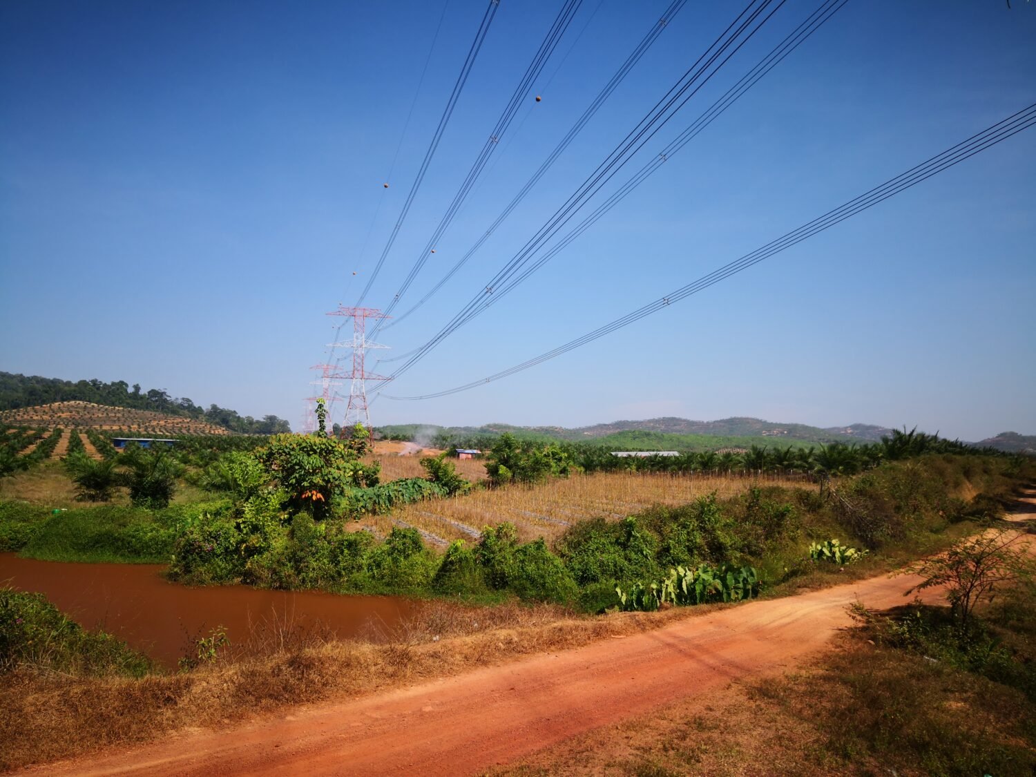 Sungai Petani Kedah Agriculture Land For Sale