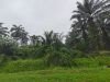 Pantai Seremban Negeri Sembilan Palm Oil Estate For Sale