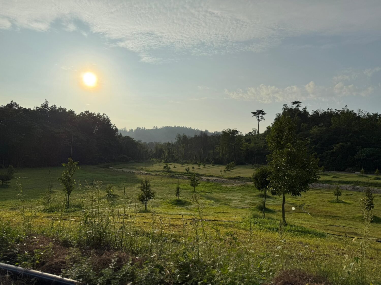 The Valley @ Bentong Karak Pahang [Freehold Agricultural Land – Infrastructure Ready]