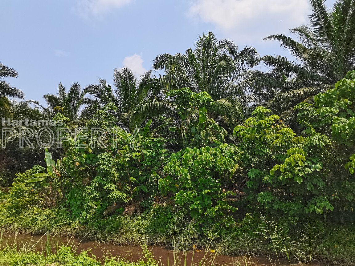 Dengkil Sepang Selangor Freehold Agriculture Land For Sale